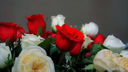 Roses