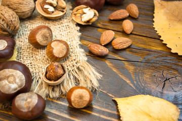 Various nuts on a rustic background