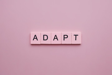 Adapt word wooden cubes on pink background