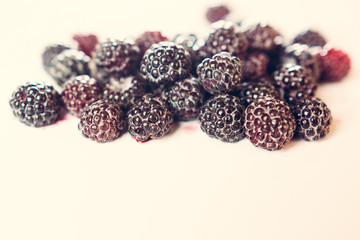 Raspberry sweet black garden on a white background.