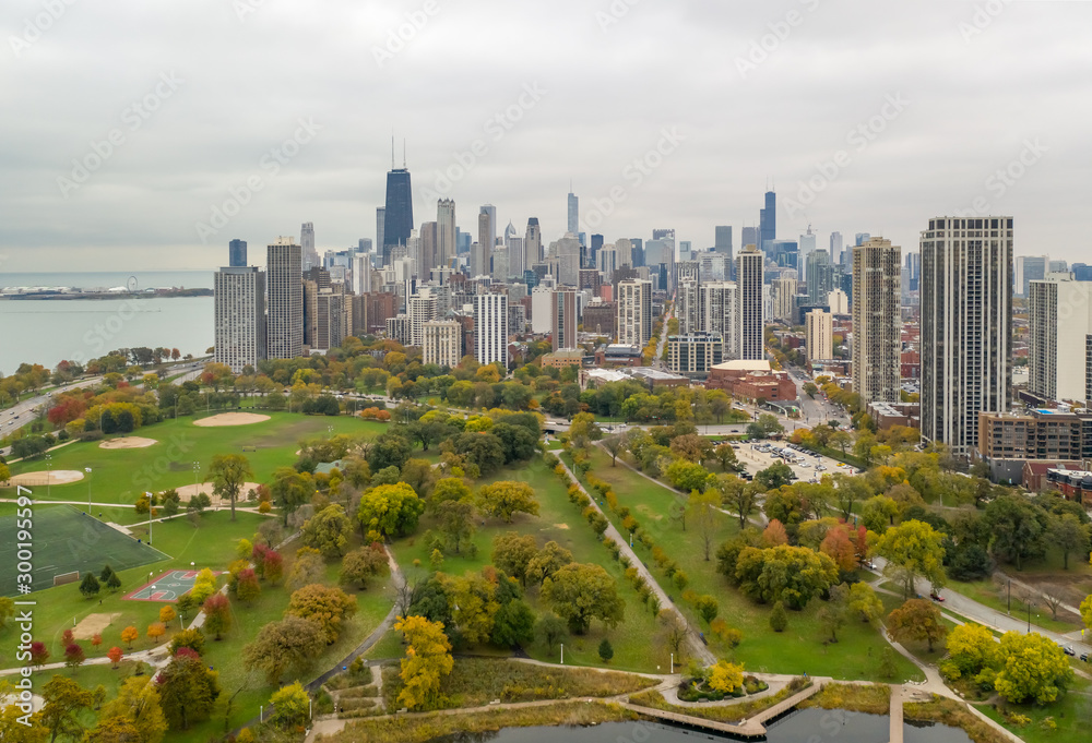 Sticker chicago downtown buildings skyline fall foliage aerial drone