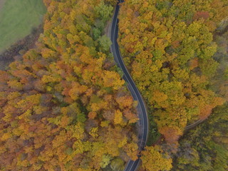 Aerial view of road from forest, autumn season, beautiful colorful landscape