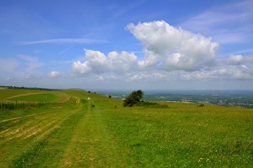 View Along the South Downs Way on Beacon Hill in Hampshire