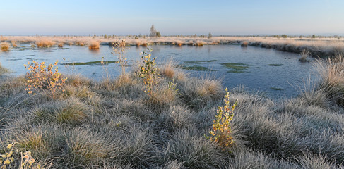  Moorsee (Rehdener Moor) bei Sonnenaufgang - sunrise in a bogland (Rehdener Moor, Gernany)