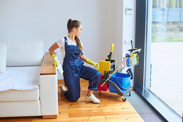 Fototapeta na wymiar Young caucasian girl with cleaning trolley full of detergents, cleaning room in house with panoramic window. Woman dressed in blue uniform