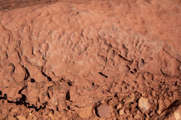 Time and water leave their marks on the surface of the sandstone rock faces of Capitol Reef National Park, Utah