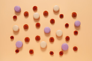 Tasty macarons with flowers on color background