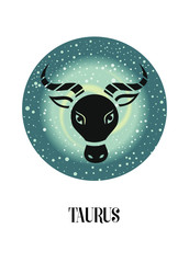  The illustration - zodiac sign on a space background.