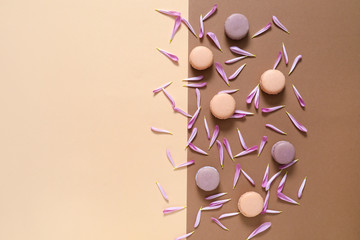 Tasty macarons with flower petals on color background