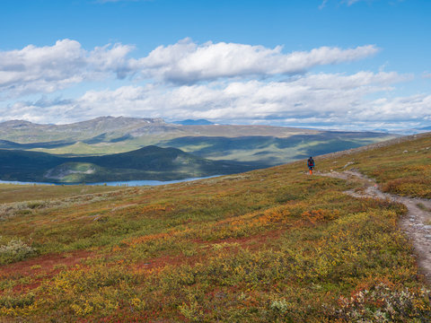 Lonely man hiker at Kungsleden hiking trail with Lapland nature with green mountains, river Lulealven, rock boulders, autumn colored bushes, birch tree and heath. Blue sky white clouds.