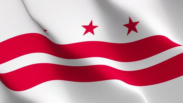 Washington DC Capitol flag waving loop. United States of America Capitol Washington DC realistic flag with fabric texture blowing on wind.