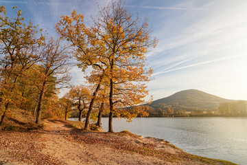 Tranquil autumnal nature scene - countryside road with colorful oak trees along a lake (Dolansky rybnik) in nature protected area Kokorinsko