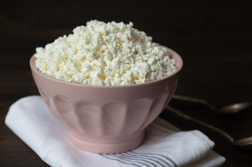 Cottage cheese, tvorog, farmer's cheese in a simple bowl, wooden background