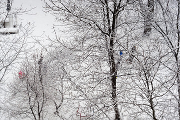 Winter urban frosty landscape - snow covered trees on foggy background