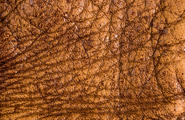 Old vintage genuine soft brown leather texture background, top layer with pores and scratches, macro, close-up