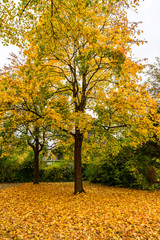 Fall colors have began!