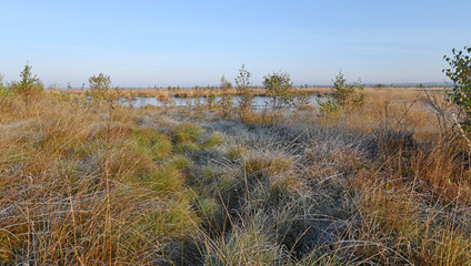 Rehdener Moor bei Sonnenaufgang -  bogland 