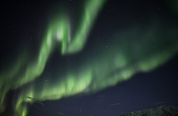 Zorza polarna nad południowym Spitsbergenem © blackspeed