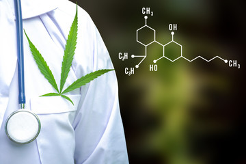 Treatment concept alternative medicine Research team invented.