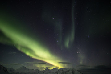 Zorza polarna nad południowym Spitsbergenem © blackspeed