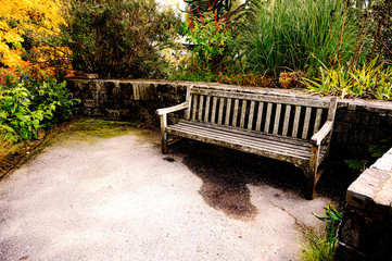 Bench in the park. Tranquil