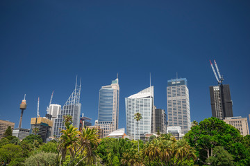 Fototapeta premium Sydney skiline and park