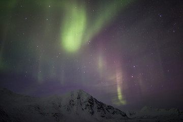 Zorza polarna nad południowym Spitsbergenem © blackspeed