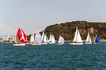 Sailing boats and yachts in Bosporus cup in Istanbul, Turkey