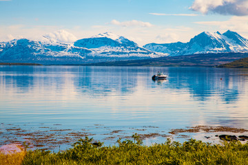 Arctic Fjords in Summer