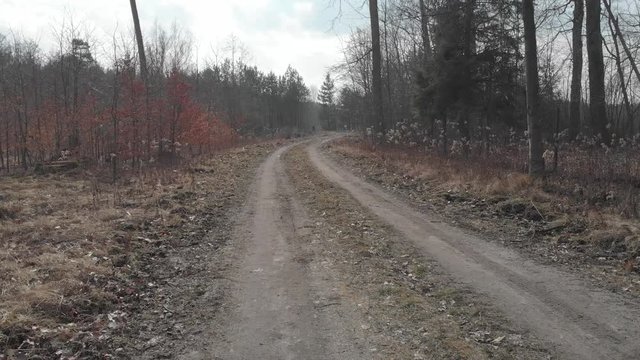 a forest road