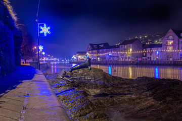 Christmas lights at Looe Harbour on a misty night