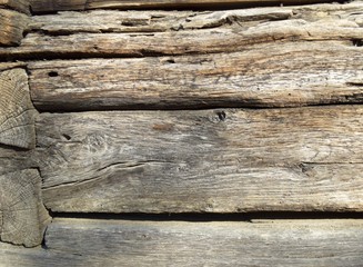 Old tree texture, Natural wood background
