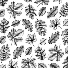 Pattern illustration in hand drawn style with leaves. Autumn design. For design textiles, fabric, packaging, paper, surface decoration, background.