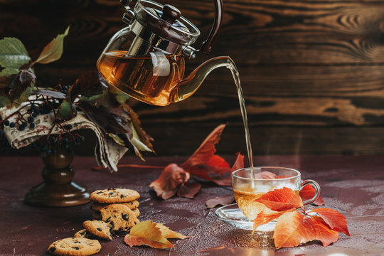Pour hot tea in glass cup. Autumn teatime composition on dark background with colored leaves and chocolate cookies, sun light beam on the cup