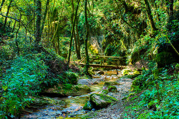 beautiful wooden bridge on the Chiavone Bianco stream in the Valle dei Mulini in Lusiana in the Province of Vicenza flows placidly among the ancient mills on a summer day near the Altipiano di Asiago.
