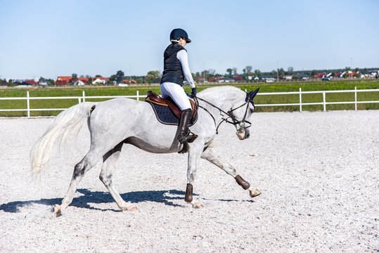 Horse riding . Young girl riding a horse . Equestrian sport in details. Sport horse and rider on gallop