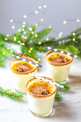 Eggnog with cinnamon and nutmeg for Christmas and winter holidays. Homemade eggnog in glasses on wooden table surface, shallow depth of the field, copy space