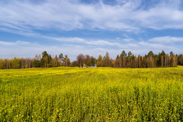 Wzgórza Sokólskie, Tradycyjna architektura drewniana, Krzyże i kapliczki © podlaski49