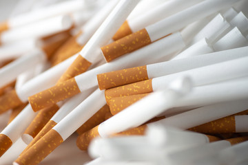 Close up of a smoking cigarettes . cigarette filter tubes - obrazy, fototapety, plakaty