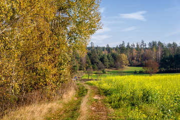 Wzgórza Sokólskie, Tradycyjna architektura drewniana, Krzyże i kapliczki © podlaski49