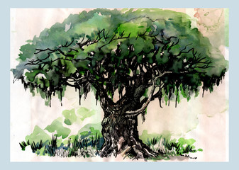 A tree made in watercolor and ink. Lush deciduous plant in the style of bonsai.
