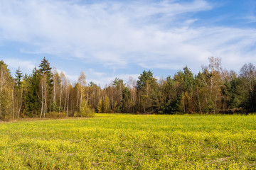 Wzgórza Sokólskie, Tradycyjna architektura drewniana, Krzyże i kapliczki © podlaski49