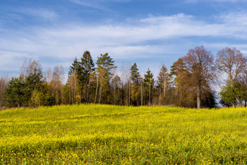 Wzgórza Sokólskie, Tradycyjna architektura drewniana, Krzyże i kapliczki © podlaski49