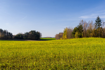 Wzgórza Sokólskie, Tradycyjna architektura drewniana, Krzyże i kapliczki © podlaski49