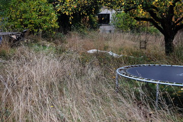 Hohes ungemähtes Gras in einem verwilderten Garten mit Trampolin für Kinder und alten Bäumen im...