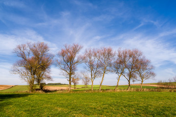 Wzgórza Sokólskie, Tradycyjna architektura drewniana, Krzyże i kapliczki © podlaski49