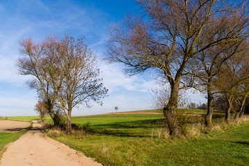 Wzgórza Sokólskie, Tradycyjna architektura drewniana, Krzyże i kapliczki © podlaski49
