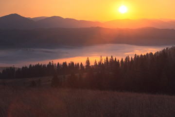 Eternal beauty of sunrise over autumn mountains. Foggy valley and spruce trees forest silhouette in the light of rising sun.