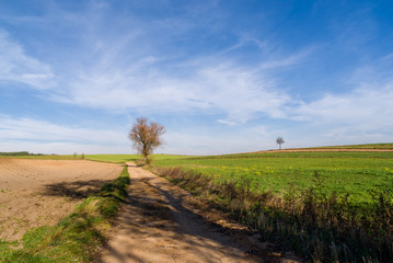 Wzgórza Sokólskie, Tradycyjna architektura drewniana, Krzyże i kapliczki © podlaski49