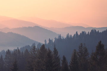 Naklejka na ściany i meble Mountains at sunrise. Colorful Carpathian mountain hills with tonal perspective at majestic autumn morning.